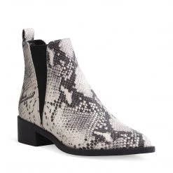 SteveMadden JONND NATURAL EXOTIC