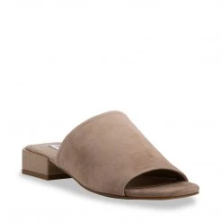 SteveMadden ANDERS NATURAL SUEDE