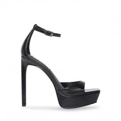 SteveMadden SCORCH BLACK