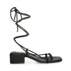 SteveMadden CLAREMONT BLACK All New